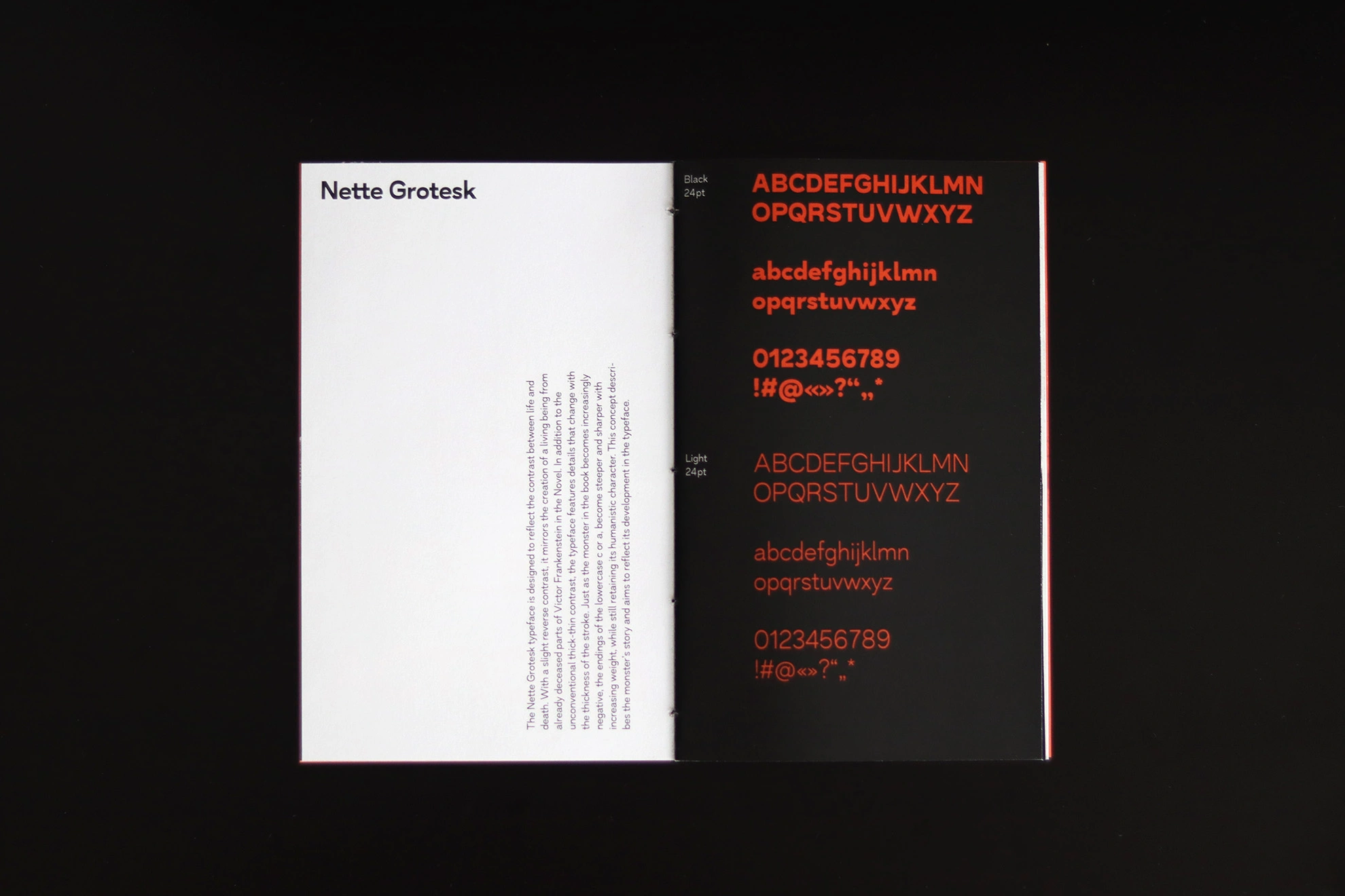 Nette Grotesk — 3
